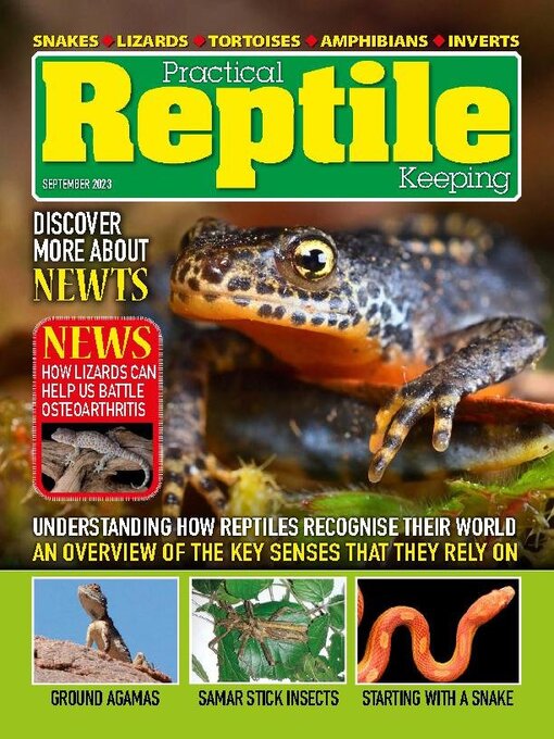 Title details for Practical Reptile Keeping by David Alderton - Available